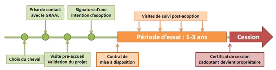 Collage animaux graal