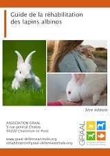 Collage animaux graal