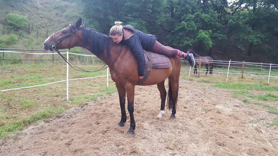 footing dans les bois avec un cheval réhabilité